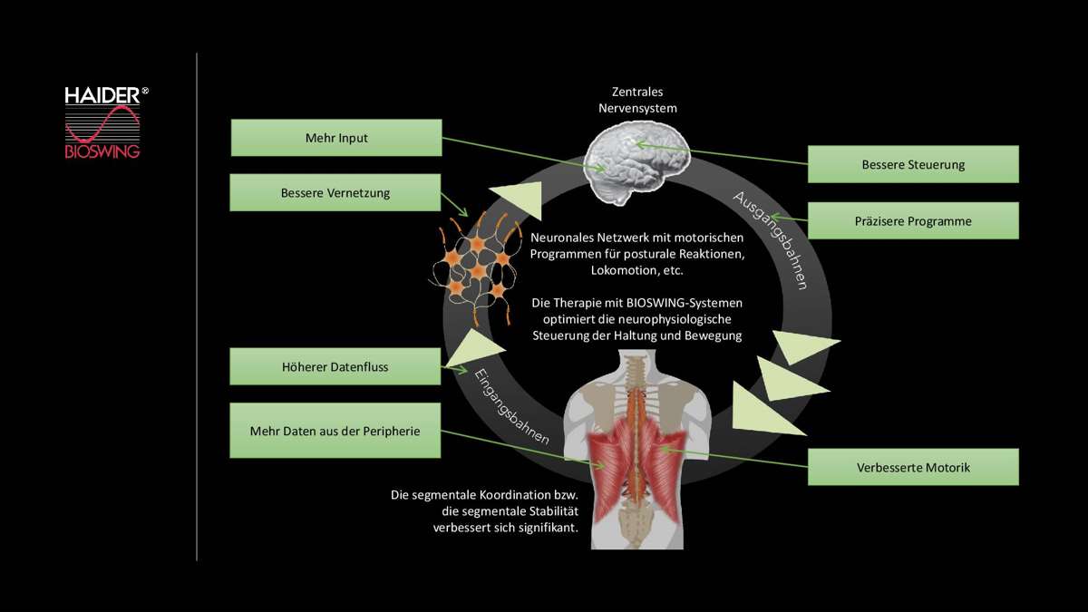  Bioswing die neurophysiologische Steuerung 
